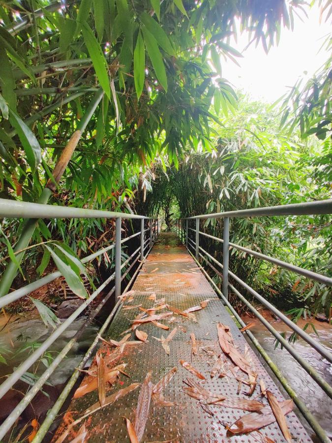 Nutmeg Valley Idukki Bagian luar foto