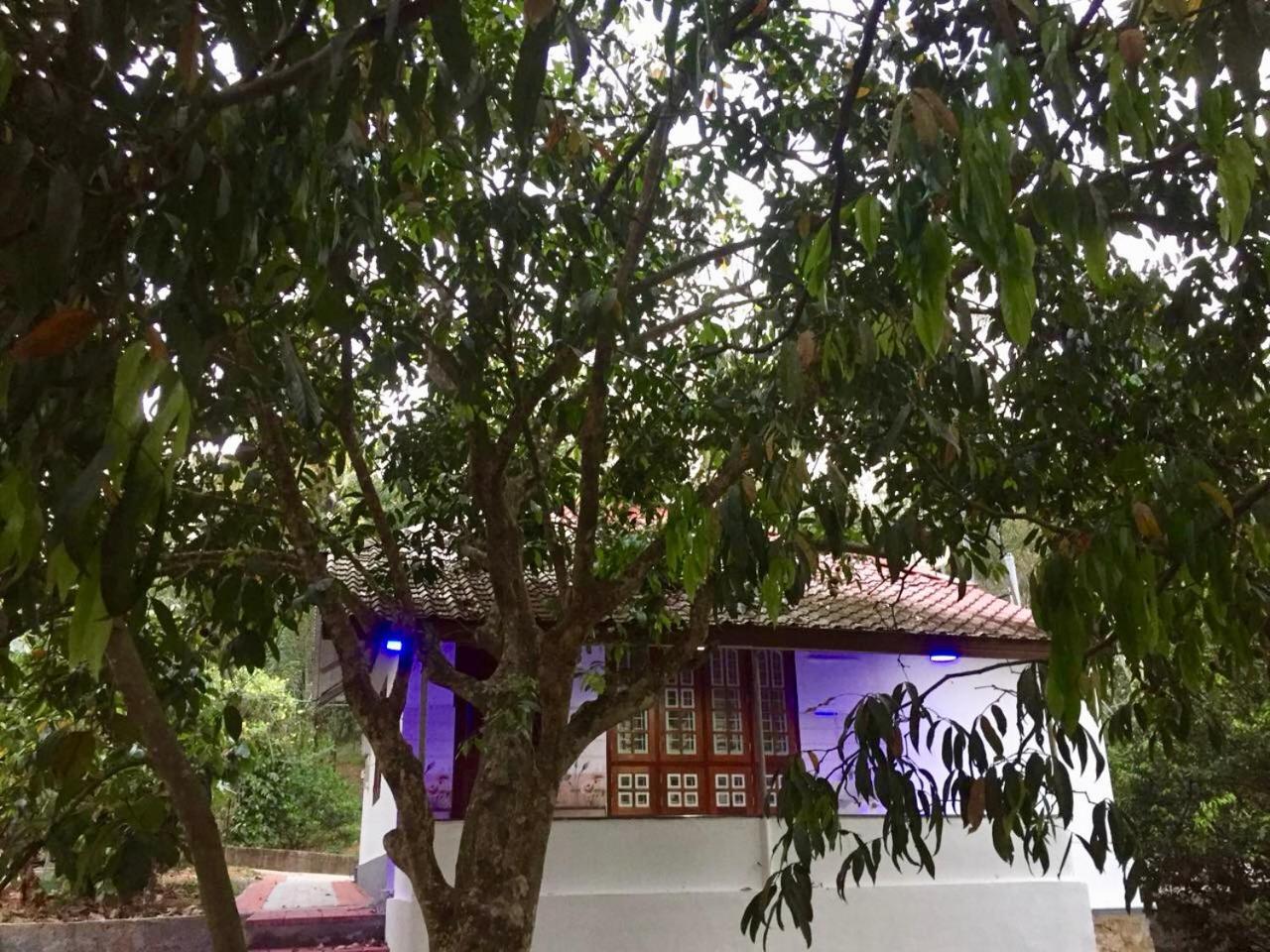 Nutmeg Valley Idukki Bagian luar foto